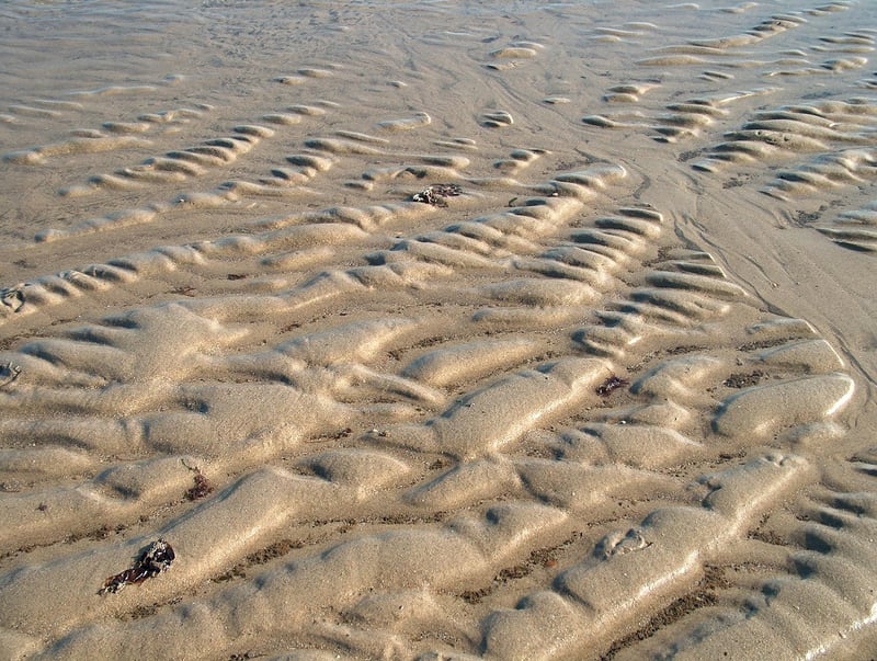 Swimming Image
